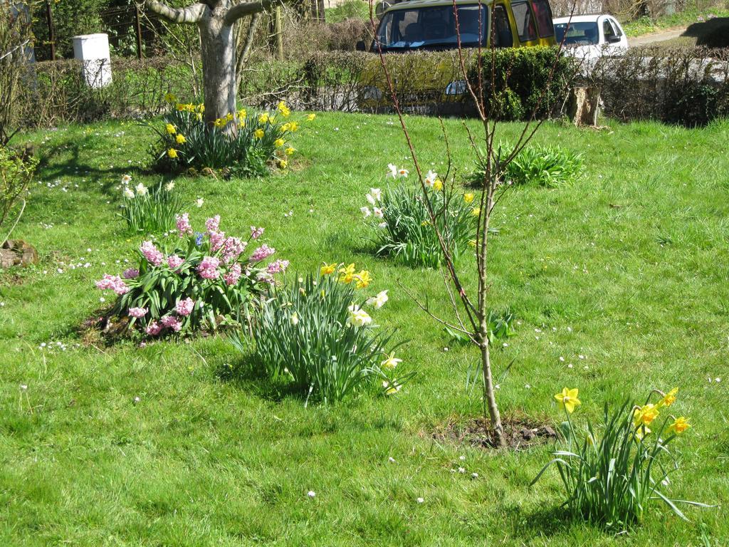Bed & Breakfast La Roseraie Du Prieure Rosay-sur-Lieure